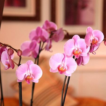 Castel De Siam Hotel Houlgate Luaran gambar